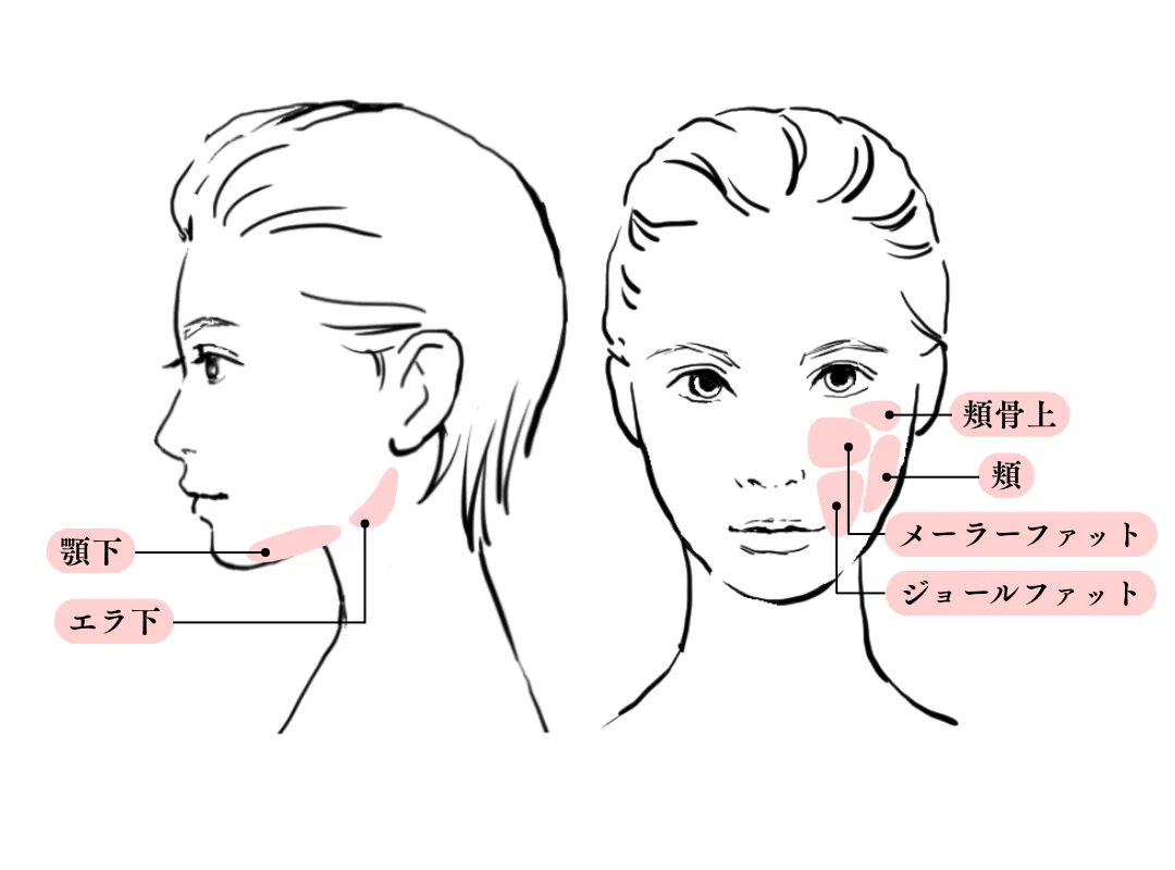 記事執筆 Apollon Clinic院長 和田真梨子