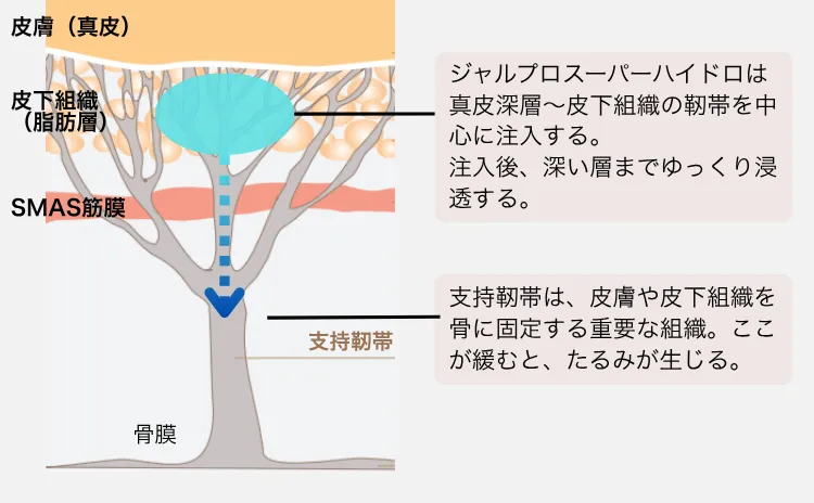 お肌の土台から再生・強化を目的とした製剤