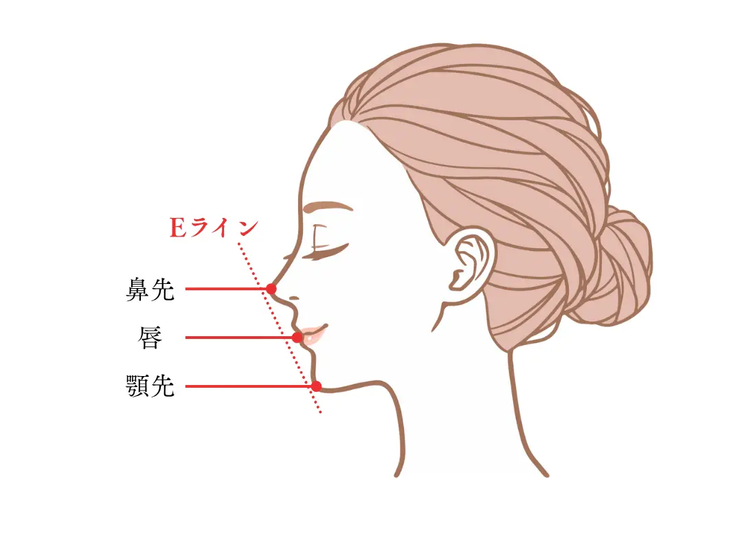鼻先、唇、顎先のEライン