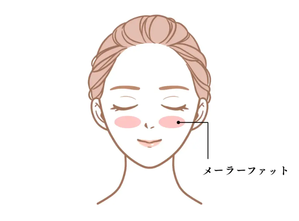 メーラーファット