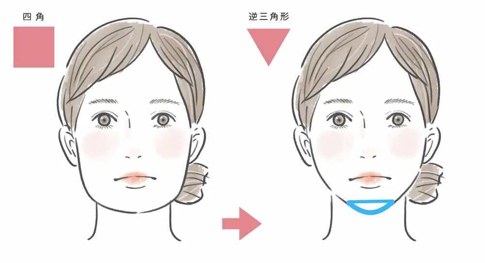 輪郭を四角から逆三角へ