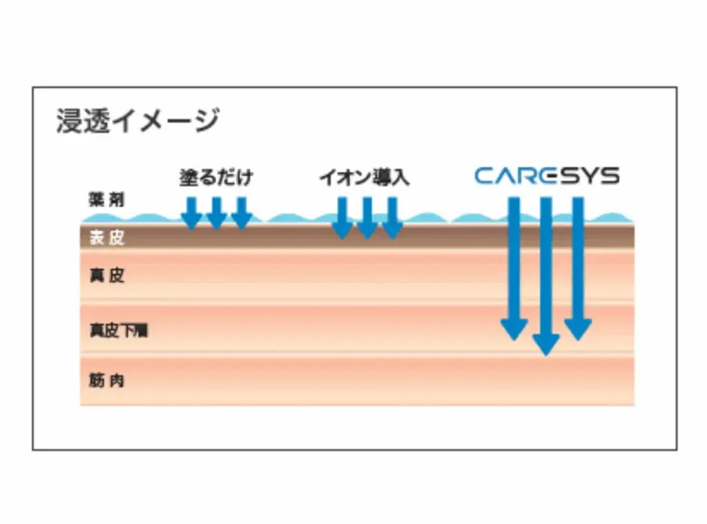 ケアシスの浸透イメージ