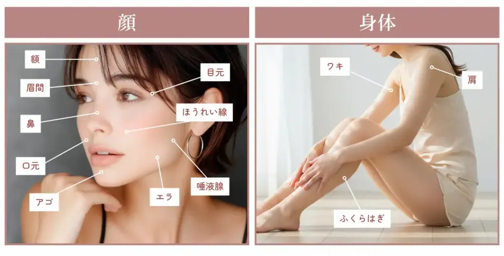 顔:額・眉間・鼻・口元・アゴ・目元・ほうれい線・唾液腺・エラ|身体:肩・ワキ・ふくらはぎ