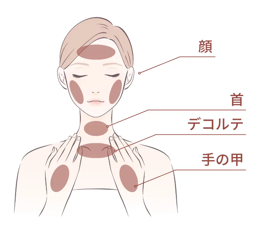顔・首・デコルテ・手の甲